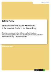 Motivation beruflicher Arbeit und Arbeitszufriedenheit im Consulting