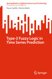 Type-3 Fuzzy Logic in Time Series Prediction