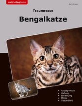 Traumrasse Bengalkatze