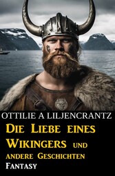 Die Liebe eines Wikingers und andere Geschichten: Fantasy