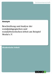 Beschreibung und Analyse der sozialpädagogischen und sozialarbeiterischen Arbeit am Beispiel Modul e.V.