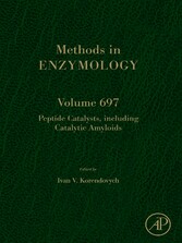 Peptide Catalysts, including Catalytic Amyloids