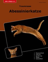 Traumrasse Abessinierkatze