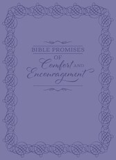 Bible Promises of Comfort and Encouragement