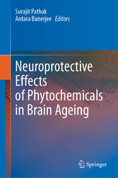 Neuroprotective Effects of Phytochemicals in Brain Ageing