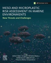 Meso and Microplastic Risk Assessment in Marine Environments