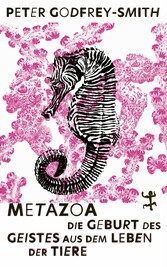 Metazoa