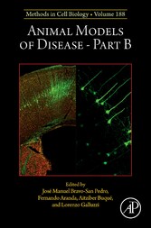 Animal Models of Disease Part B