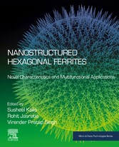 Nanostructured Hexagonal Ferrites