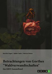 Betrachtungen von Goethes 'Wahlverwandtschaften'. Intertextualität und Todesmotiv