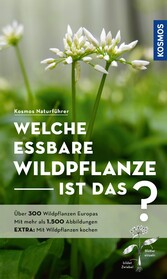 Welche essbare Wildpflanze ist das?