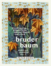 BRUDER BAUM