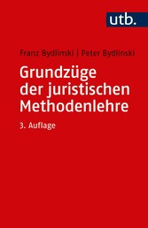 Grundzüge der juristischen Methodenlehre