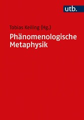 Phänomenologische Metaphysik