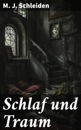 Schlaf und Traum