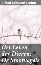 Het Leven der Dieren: De Stootvogels