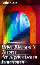 Ueber Riemann's Theorie der Algebraischen Functionen