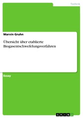 Übersicht über etablierte Biogasentschwefelungsverfahren