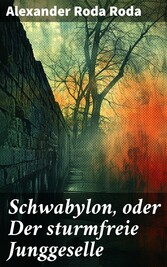 Schwabylon, oder Der sturmfreie Junggeselle