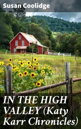 IN THE HIGH VALLEY (Katy Karr Chronicles)