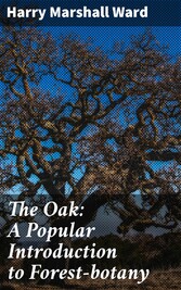 The Oak: A Popular Introduction to Forest-botany