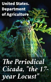 The Periodical Cicada, 'the 17-year Locust'