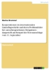 Kooperationen im internationalen Linienflugverkehr und deren Problemfelder bei unvorhergesehenen Ereignissen - dargestellt am Beispiel des Terroranschlags vom 11. September