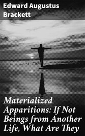 Materialized Apparitions: If Not Beings from Another Life, What Are They