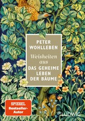 Weisheiten aus »Das geheime Leben der Bäume«