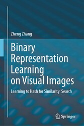 Binary Representation Learning on Visual Images