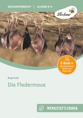 Die Fledermaus