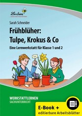 Frühblüher: Tulpe, Krokus & Co