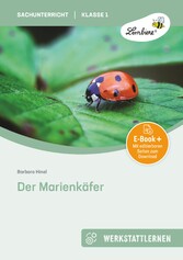 Der Marienkäfer