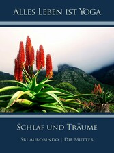 Schlaf und Träume