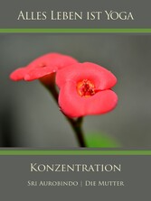 Konzentration