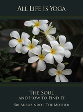 All Life Is Yoga: The Soul and How to Find It