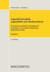 Jugendkriminalität, Jugendhilfe und Strafverfahren