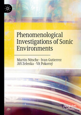 Phenomenological Investigations of Sonic Environments