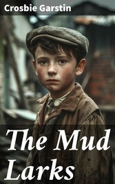 The Mud Larks