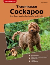 Traumrasse Cockapoo