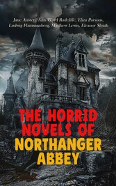 The Horrid Novels of Northanger Abbey