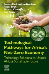 Technological Pathways for Africa's Net-Zero Economy