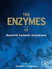 Bacterial Carbonic Anhydrases