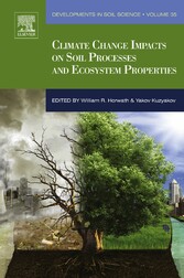 Climate Change Impacts on Soil Processes and Ecosystem Properties