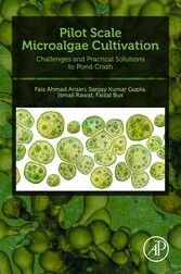 Pilot Scale Microalgae Cultivation