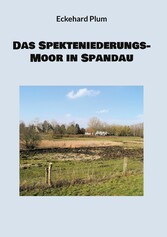 Das Spekteniederungs-Moor in Spandau