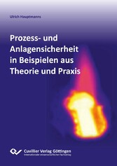 Prozess- und Anlagensicherheit in Beispielen aus Theorie und Praxis