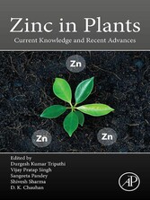 Zinc in Plants