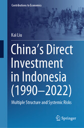 China's Direct Investment in Indonesia (1990-2022)