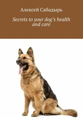 Secrets to your dog's health and care